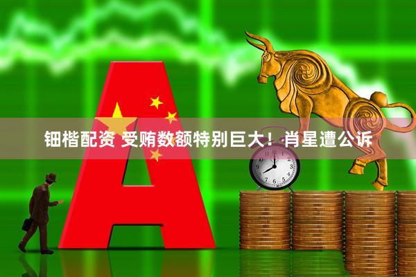 钿楷配资 受贿数额特别巨大！肖星遭公诉