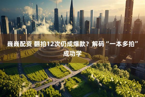 巍巍配资 翻拍12次仍成爆款？解码“一本多拍”成功学
