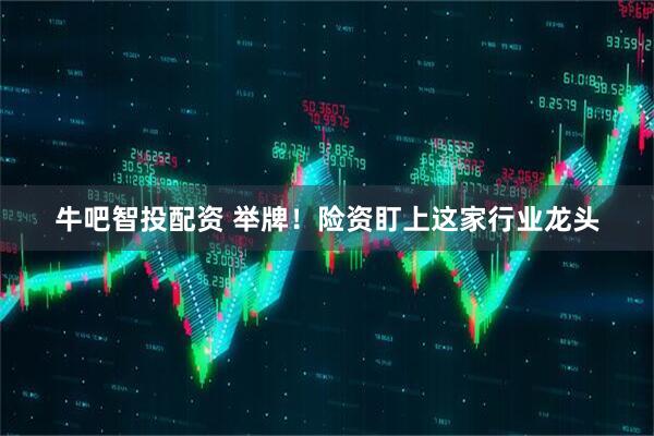 牛吧智投配资 举牌！险资盯上这家行业龙头