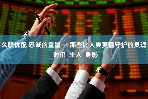 久联优配 忠诚的重量——那些比人类更懂守护的灵魂_时仍_主人_身影