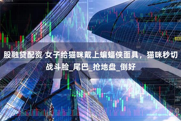 股融贷配资 女子给猫咪戴上蝙蝠侠面具，猫咪秒切战斗脸_尾巴_抢地盘_倒好