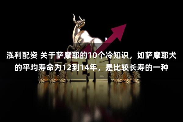 泓利配资 关于萨摩耶的10个冷知识，如萨摩耶犬的平均寿命为12到14年，是比较长寿的一种
