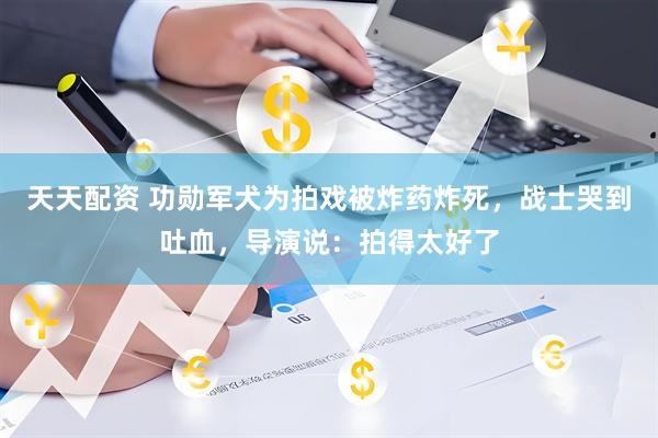 天天配资 功勋军犬为拍戏被炸药炸死，战士哭到吐血，导演说：拍得太好了